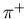 $\pi^{+}$